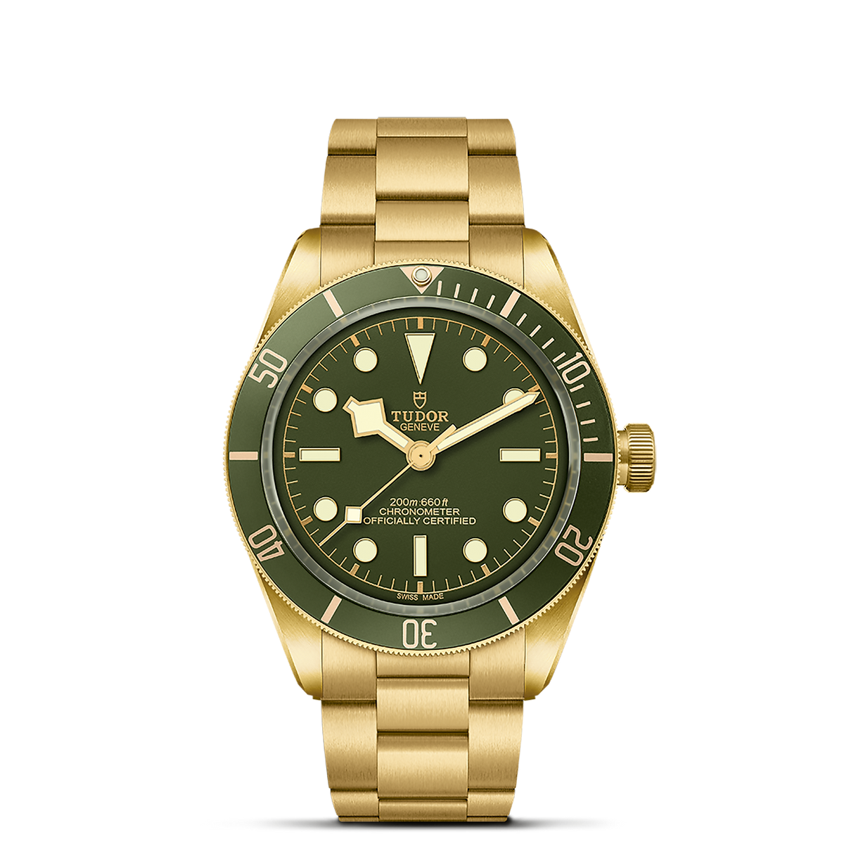Tudor Black Bay 58 18K M79018V-0006 | Brent Miller
