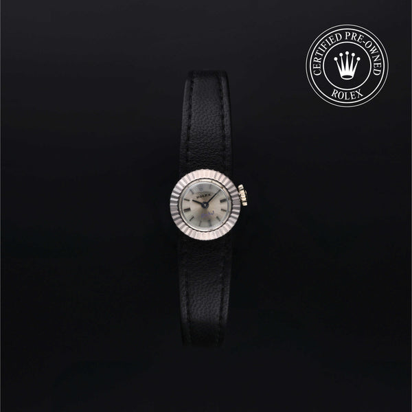 Vintage Orchid - 2059/9
