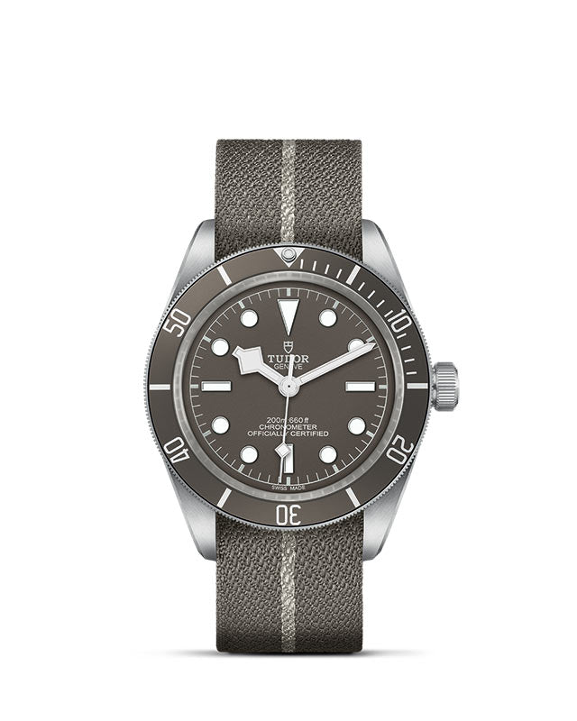 Black Bay 58 925 M79010SG-0002 Tudor